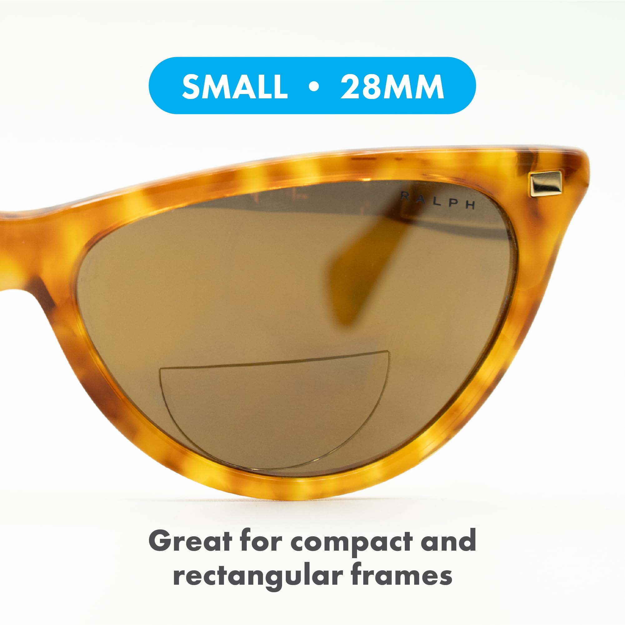StickTite Lenses Small 28mm pack back view showing compact design.