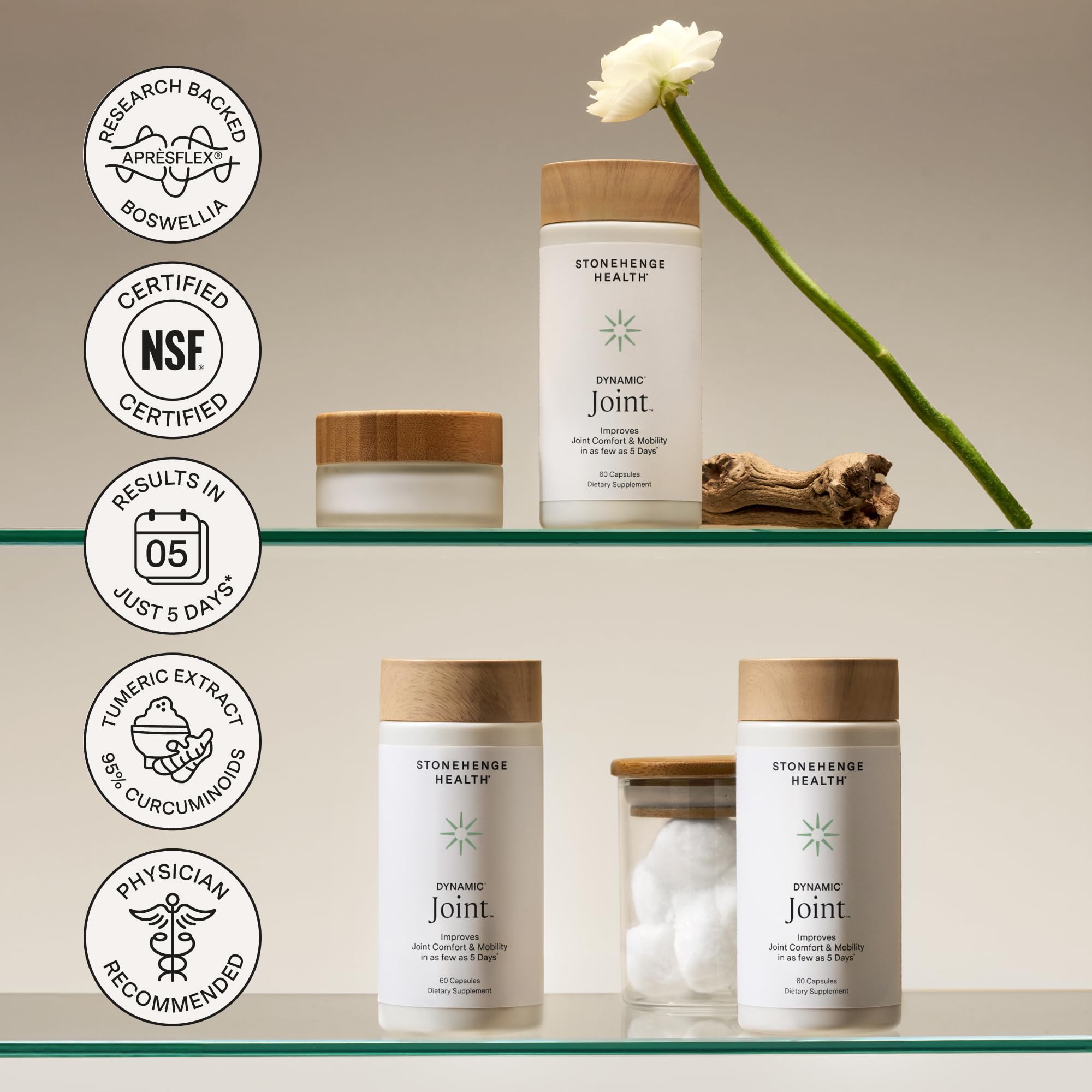 Stonehenge Health Dynamic Joint Health 60-capsule package ready for daily routine