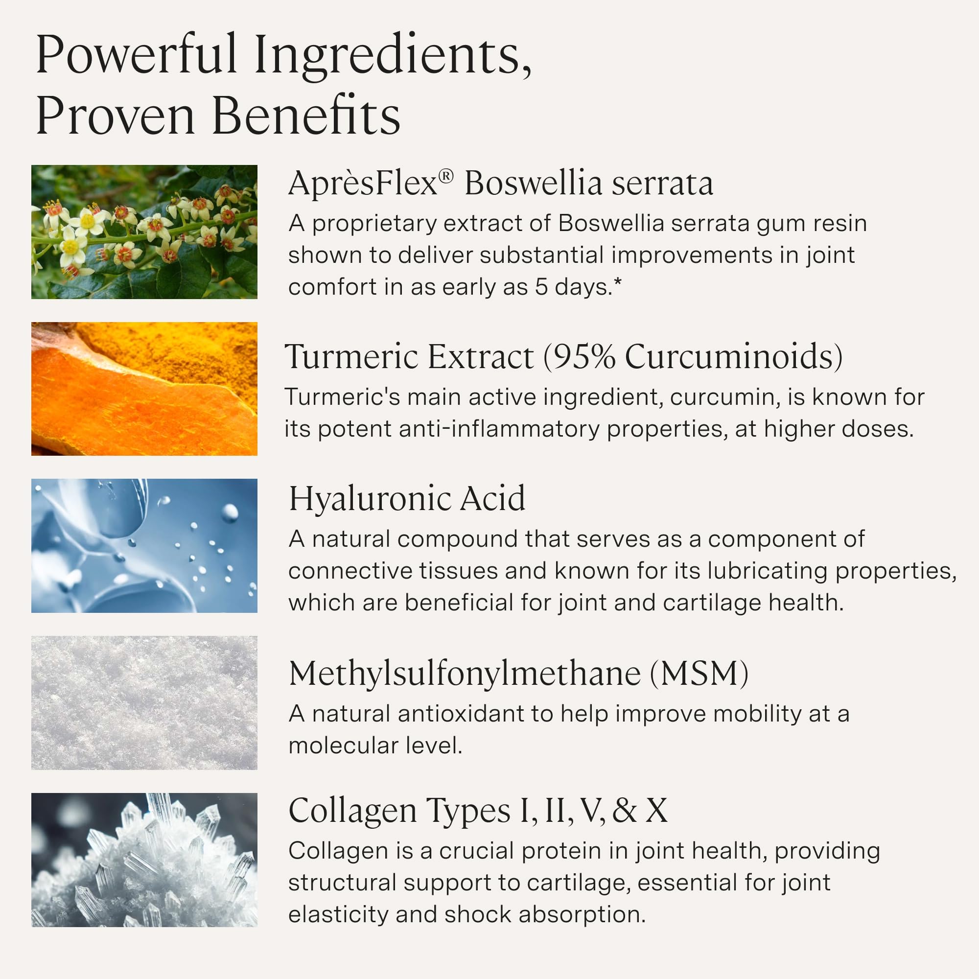 Stonehenge Health Dynamic Joint Health hyaluronic acid image highlights joint lubrication support