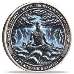 Strugglejewelry Serenity Storm coin with calm figure for resilience reminder.