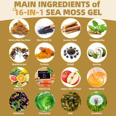 SumDIP Sea Moss Gel ingredients blend features black seed oil and ashwagandha