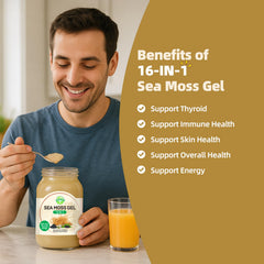 SumDIP Sea Moss Gel texture closeup highlights natural density and creamy consistency