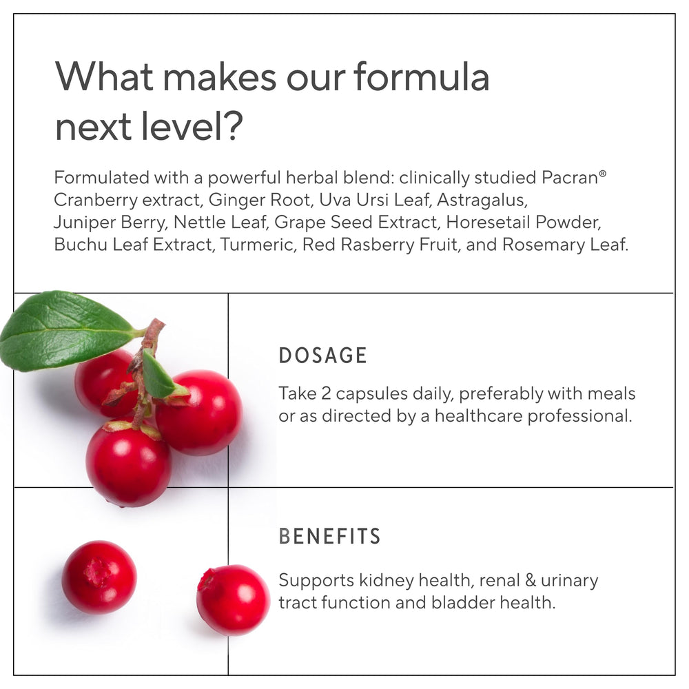 Sunergetic Kidney Cleanse astragalus root ingredients close-up