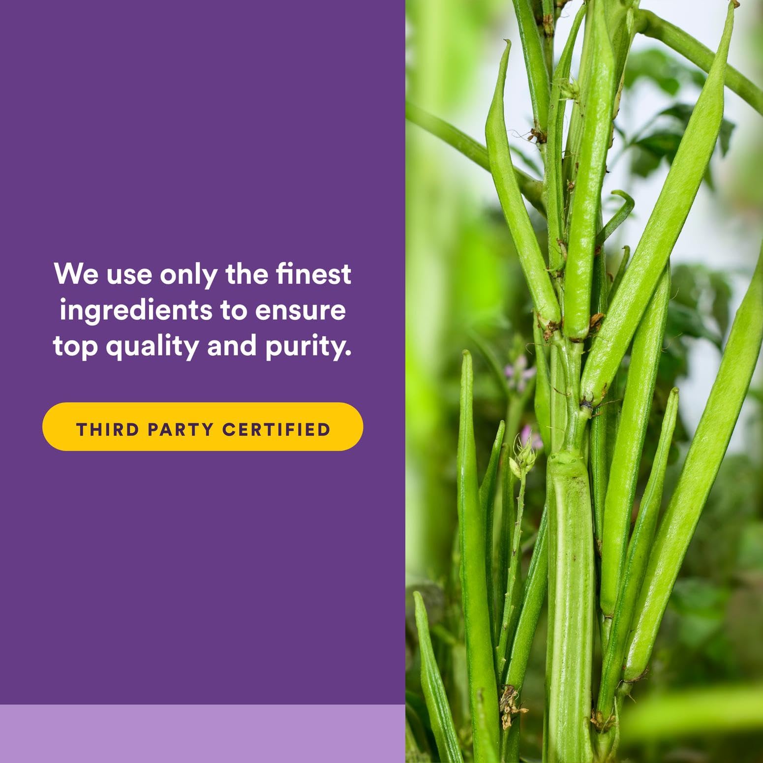 Sunfiber ingredient in Reliefiber promotes high solubility and gentle mixing.