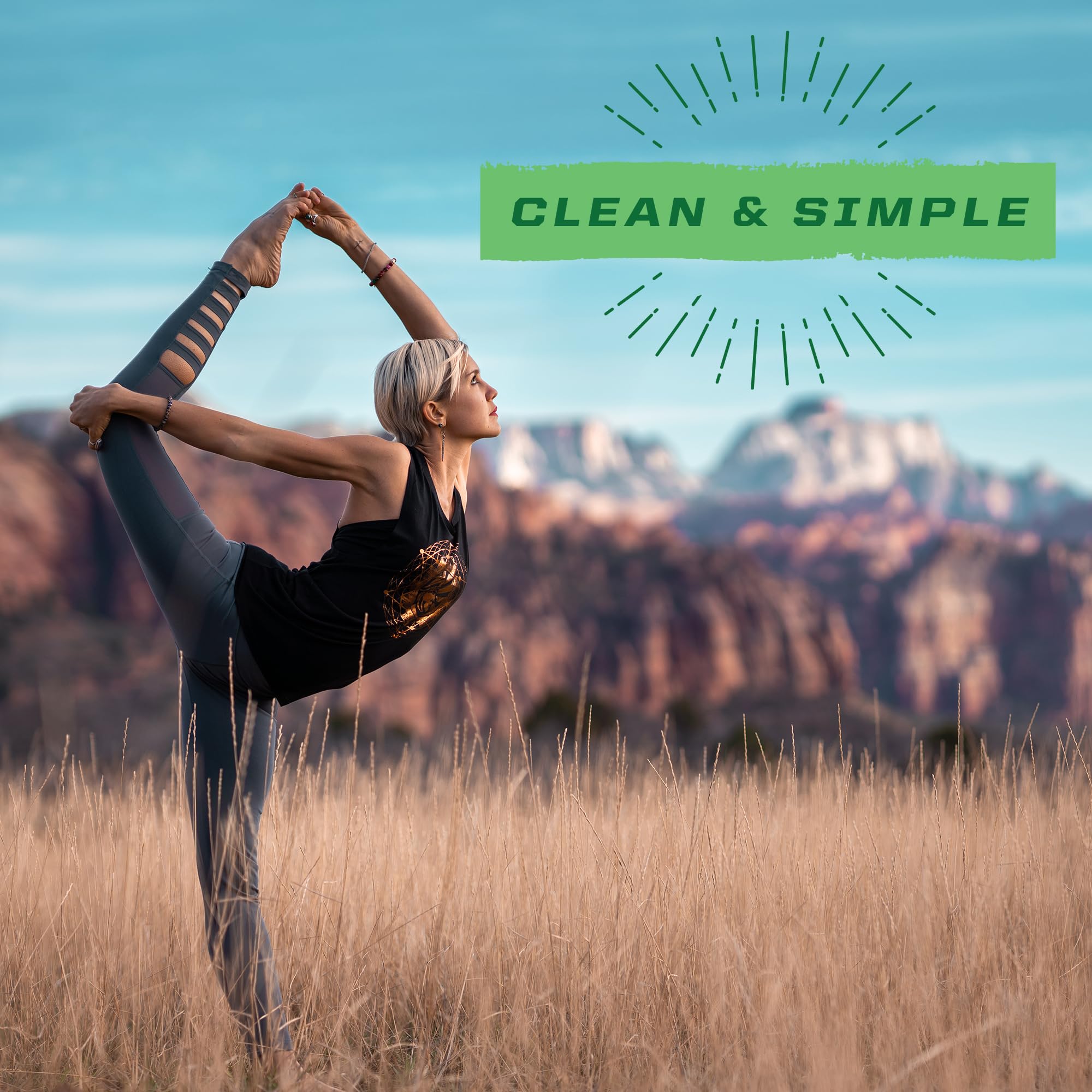 Sunwarrior Brown Rice Protein ingredients-panel emphasizes sprouted brown rice protein.