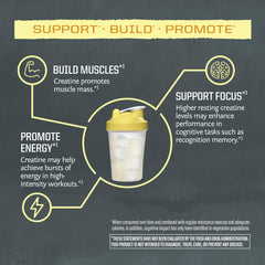 Sunwarrior Creatine Monohydrate lemonade shaker shows smooth blending at workout time.