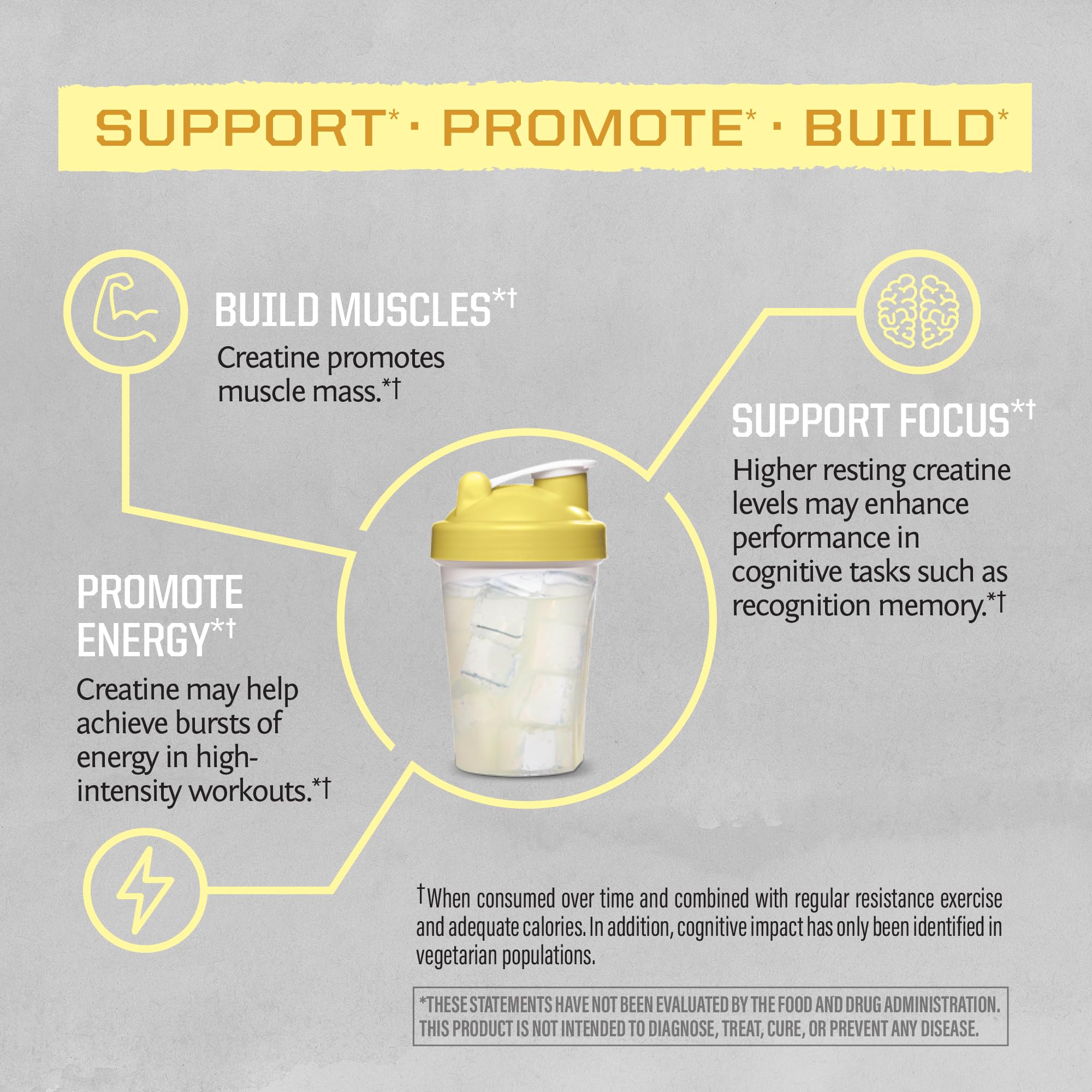 Sunwarrior Creatine Monohydrate Powder workout shaker suggests convenient, steady energy during sessions.