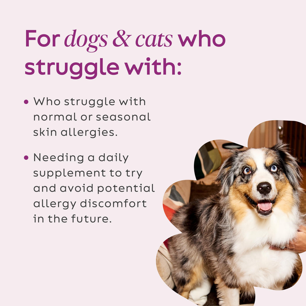 Super Snouts Super Shrooms scoop demonstrates precise dosing for daily pet immune care.