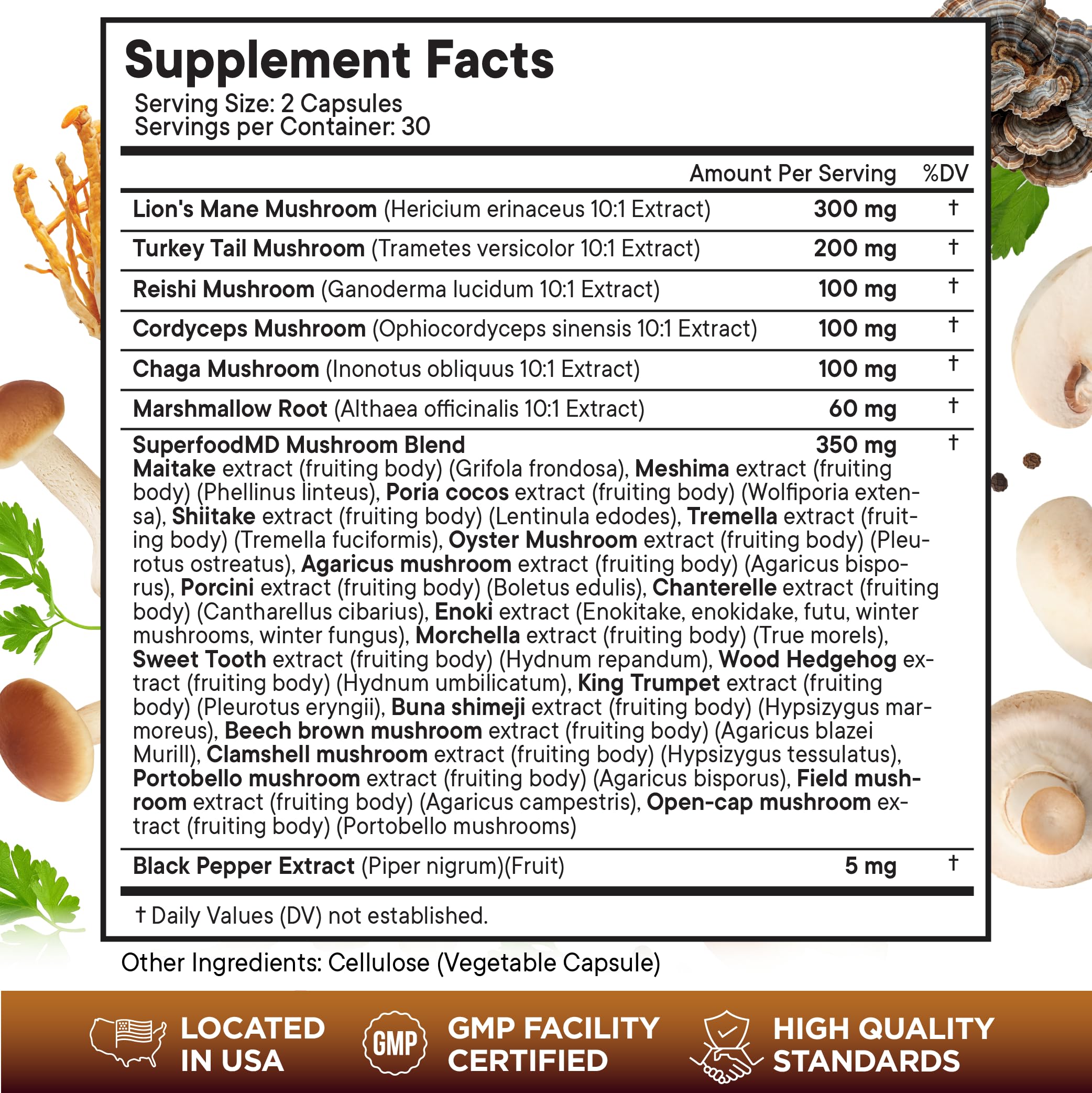 Lions Mane capsules closeup highlighting the mushroom complex for sustained energy