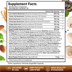 Lions Mane capsules closeup highlighting the mushroom complex for sustained energy