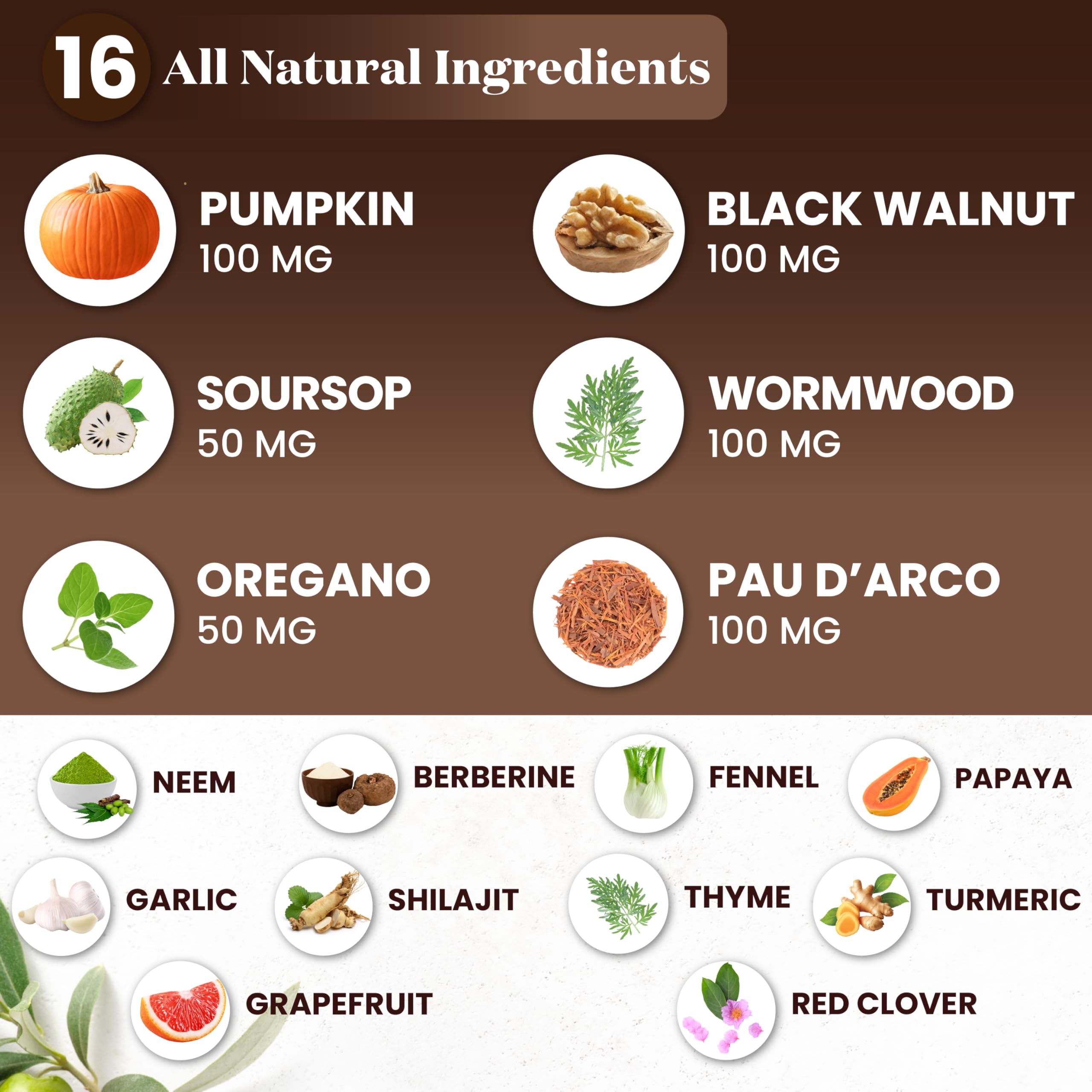 Superfood MD Wormwood Black Walnut Cleanse tincture bottle conveys easy measured dosing.