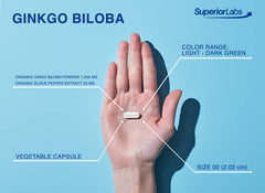Superior Labs Ginkgo Biloba vegan capsules on desk convey easy daily use