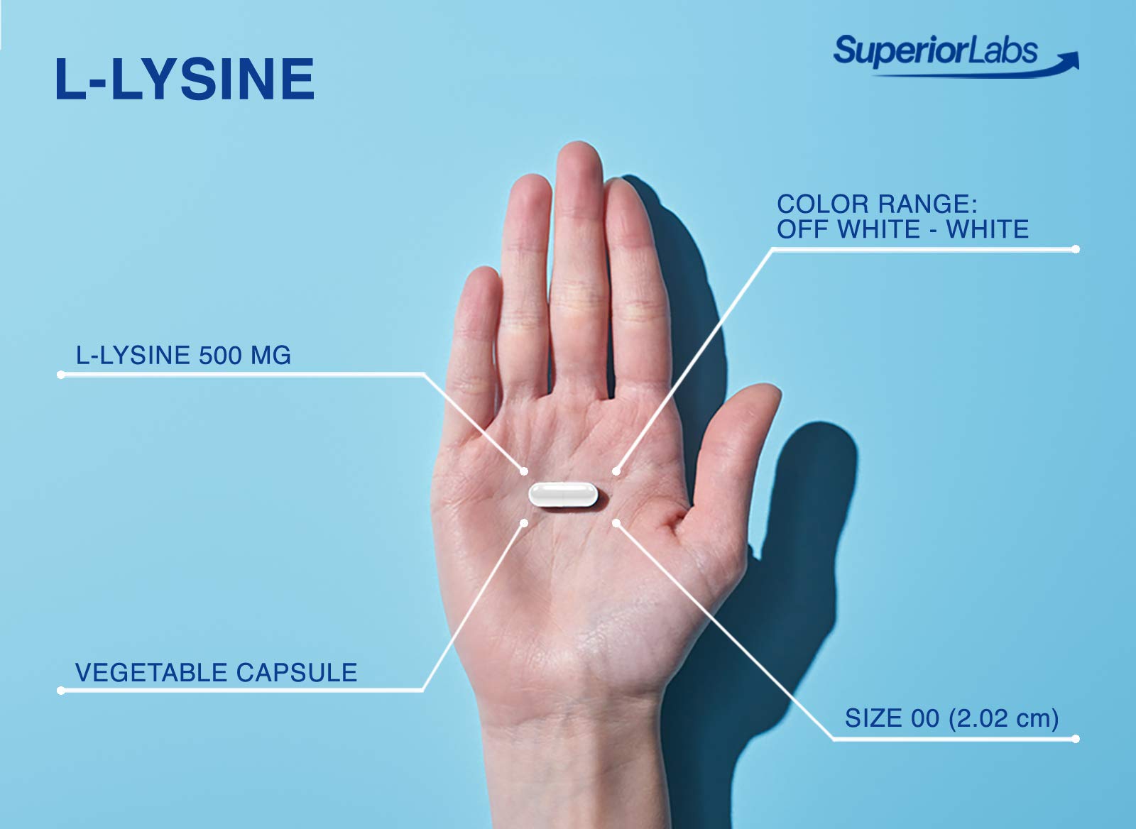 Superior Labs L-Lysine 500 mg close-up emphasizing clean, additive-free purity supporting routine supplementation.