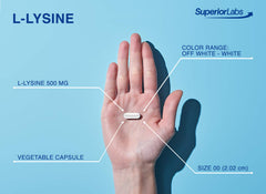 Superior Labs L-Lysine 500 mg close-up emphasizing clean, additive-free purity supporting routine supplementation.
