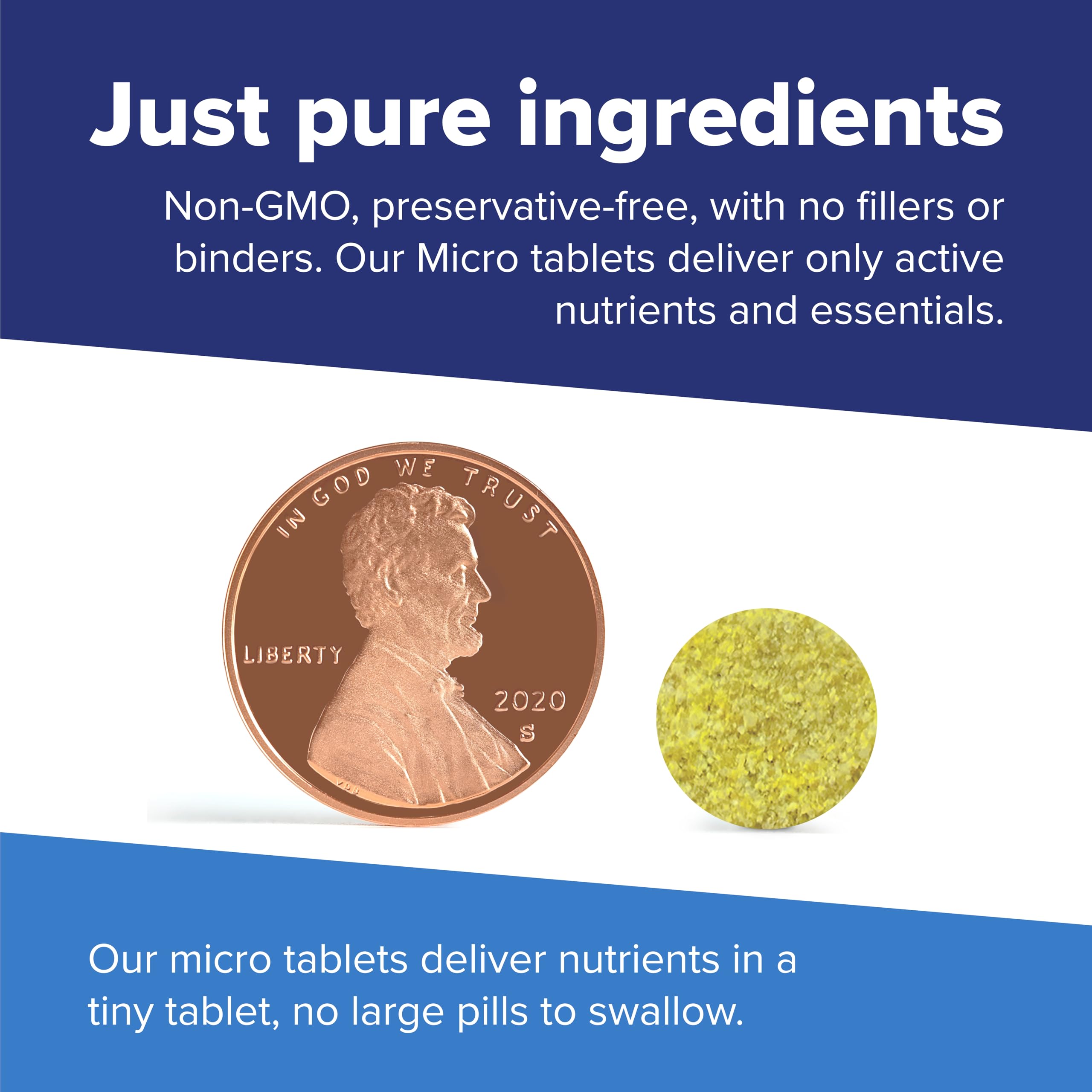 Superior Source B Complex tablets in hand, supports daily energy and growth