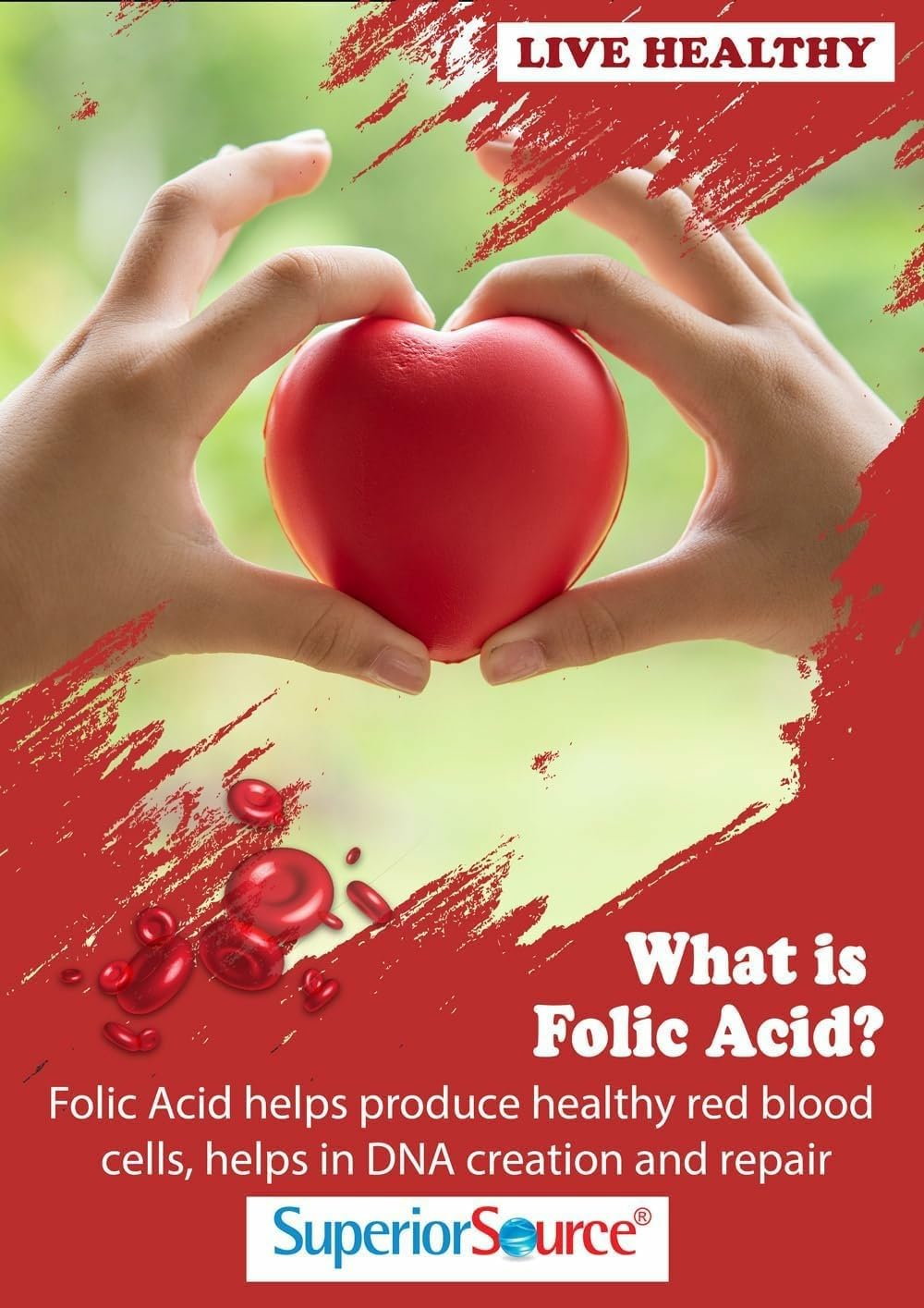 Vivid label highlights B-12, B-6, and folic acid synergy