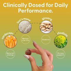 Two gummies ready to boost focus and energy during a busy day.
