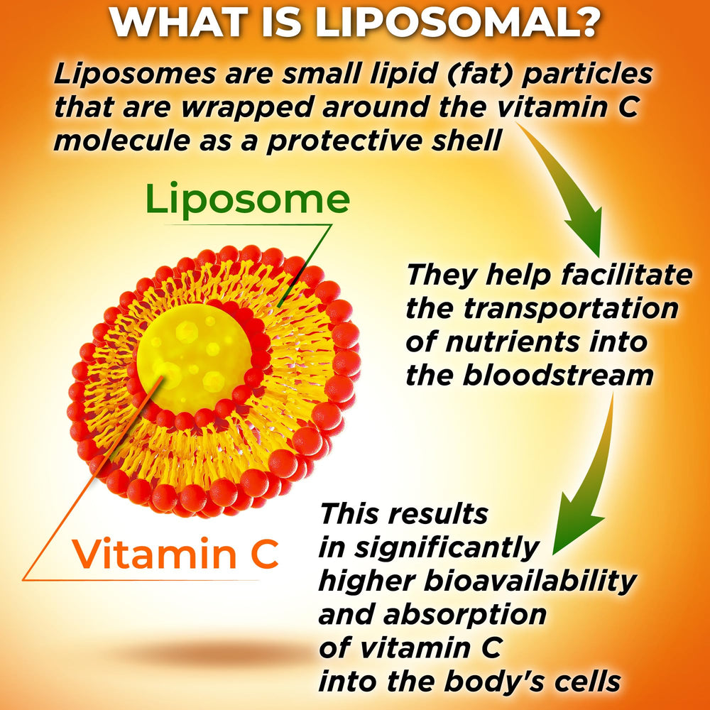 Vegan, plant-based capsules deliver high potency Vitamin C without common fillers.