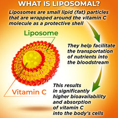 Vegan, plant-based capsules deliver high potency Vitamin C without common fillers.