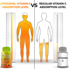 SUPPLEMENTS STUDIO sunflower lecithin blend improving bioavailability