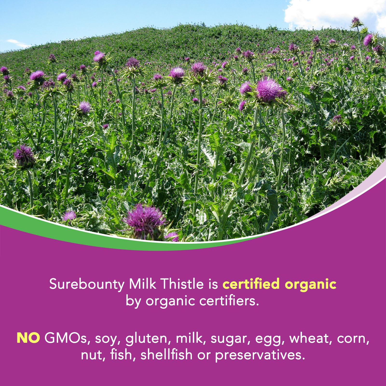 Veggie capsules from Surebounty present plant-based liver health support.