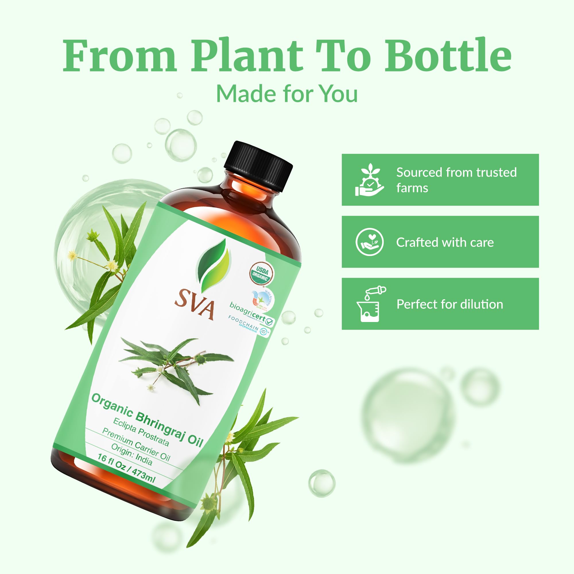 SVA Organic Bhringraj Oil applied to scalp during massage