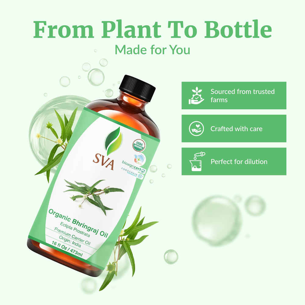 SVA Organic Bhringraj Oil applied to scalp during massage