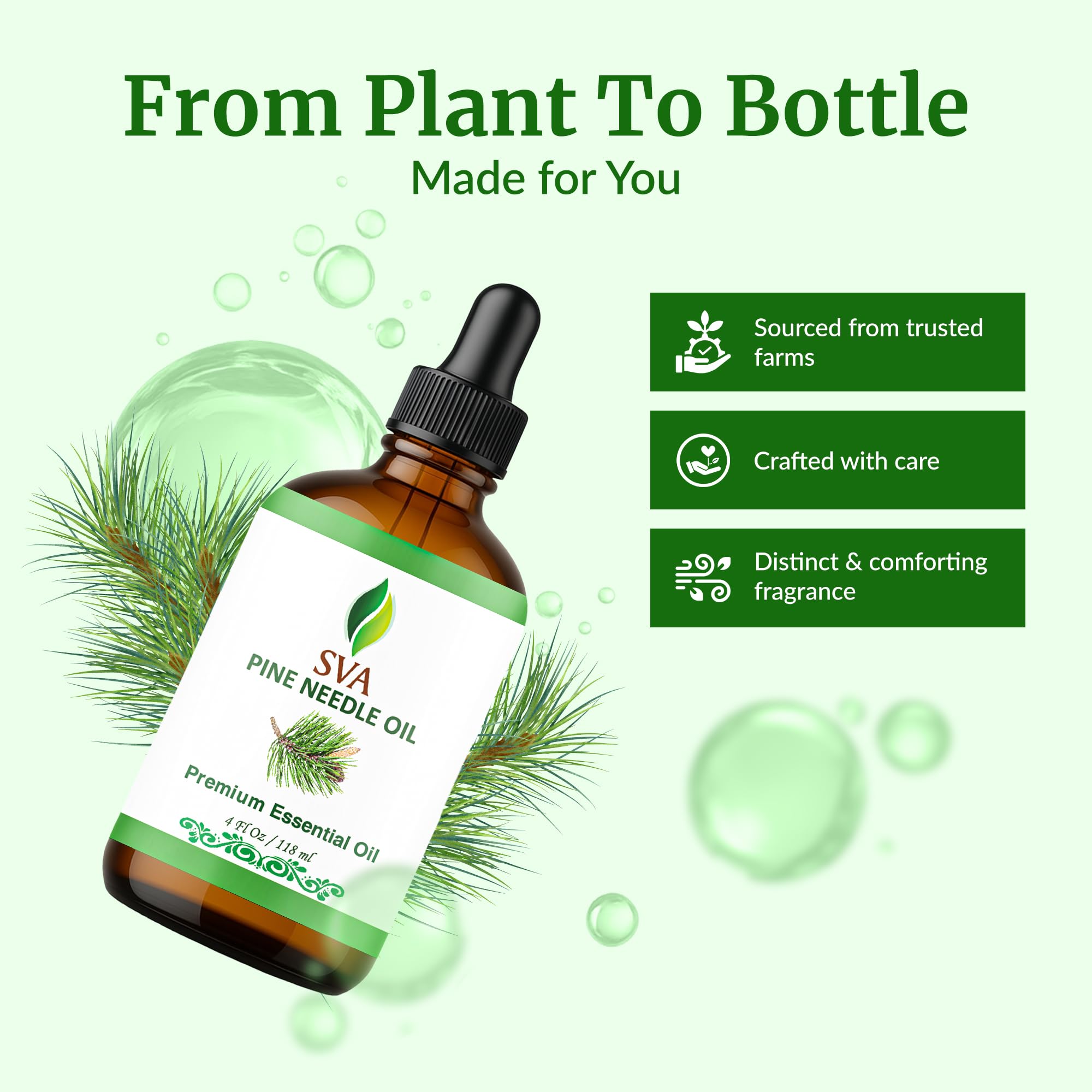 Hair and scalp massage with diluted SVA Pine Needle Oil enhances routine.