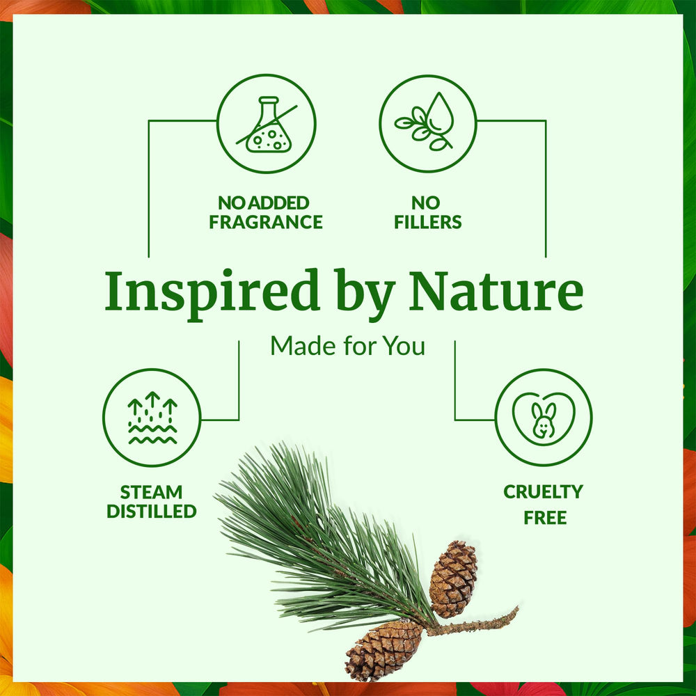 SVA Pine Needle Oil for skin care, when diluted, can nourish and refresh.