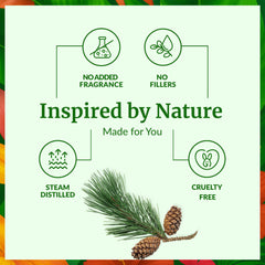 SVA Pine Needle Oil for skin care, when diluted, can nourish and refresh.