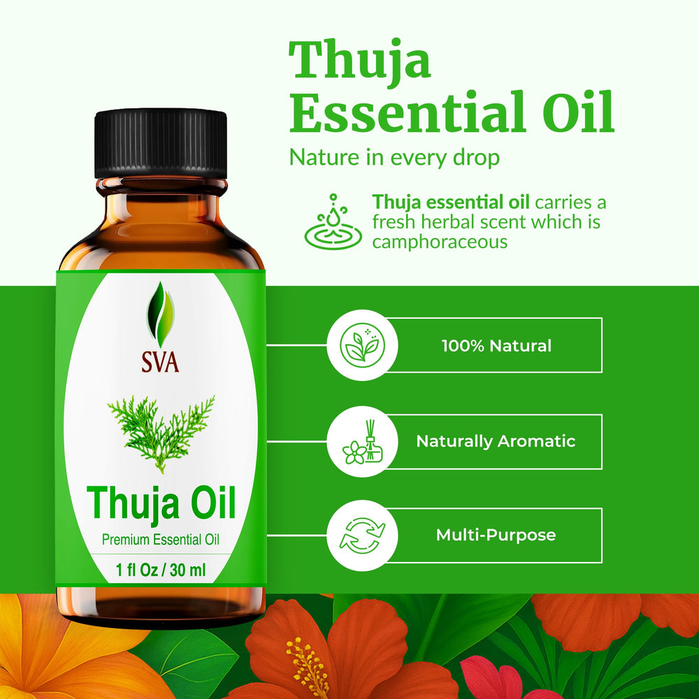 SVA Thuja oil diffusing in a diffuser for aromatherapy