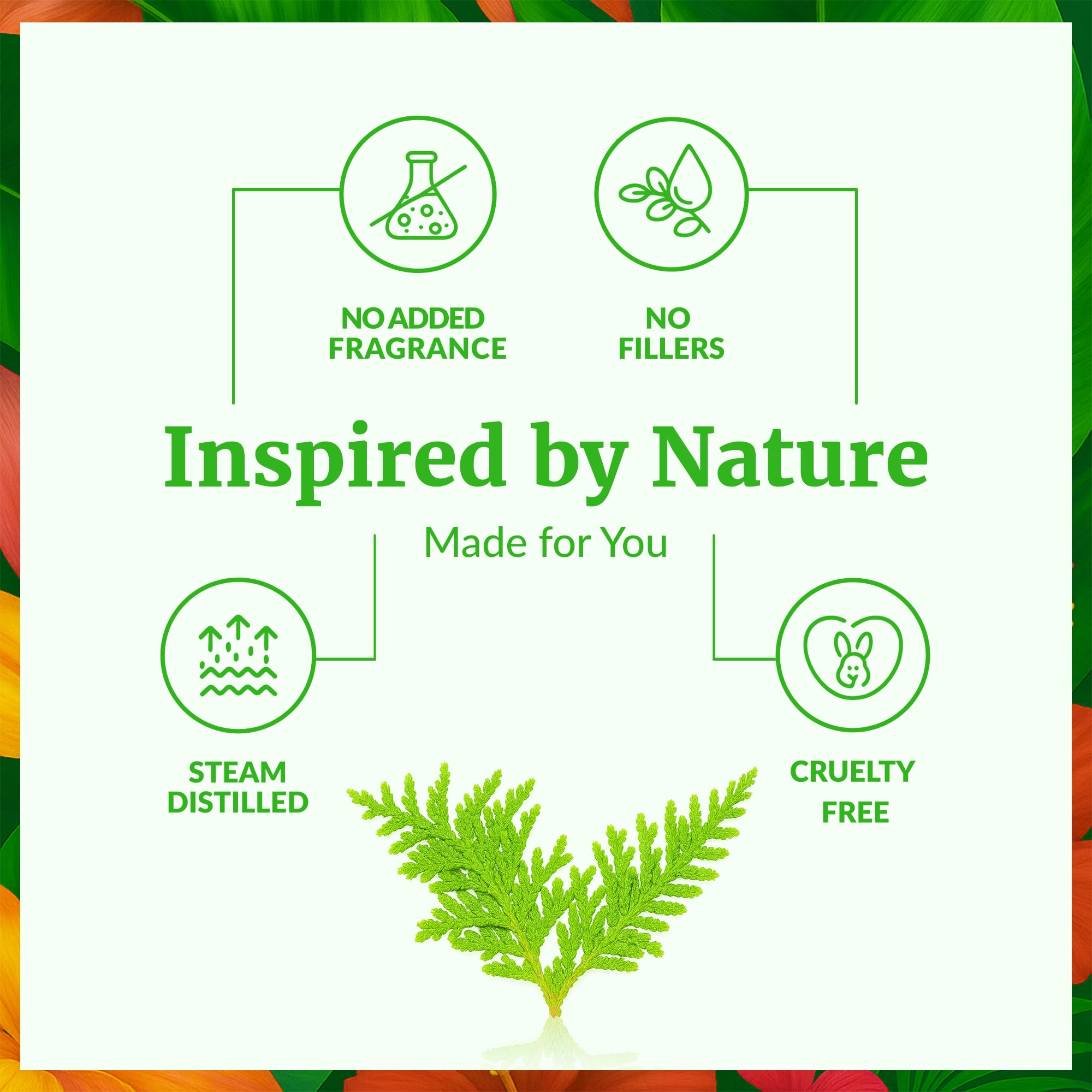 SVA Thuja essential oil applied to skin with carrier oil