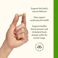 Swanson heart-health olive-leaf capsules suggesting cardiovascular wellness options.