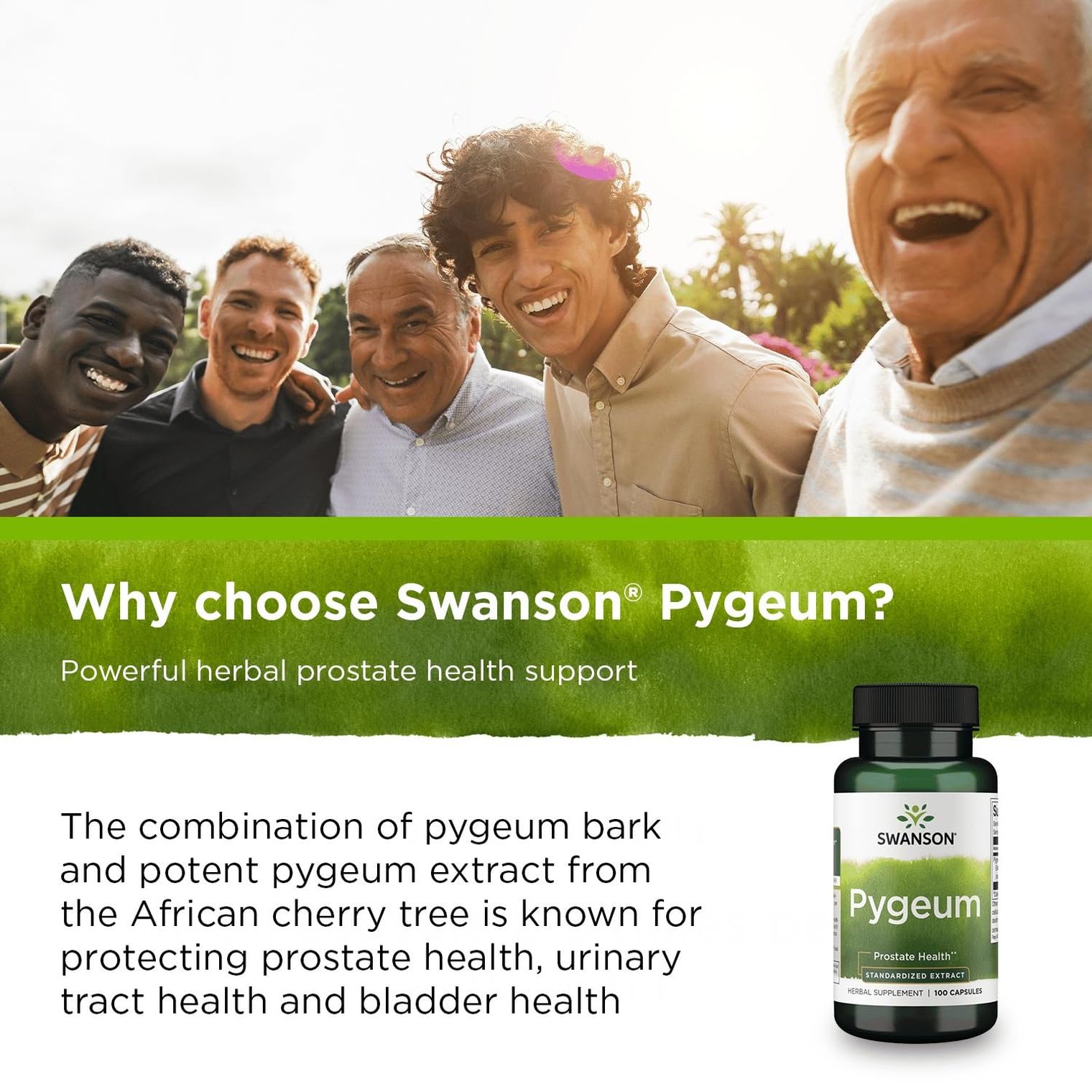 Swanson Hyssop produced in GMP-certified facilities ensuring quality.