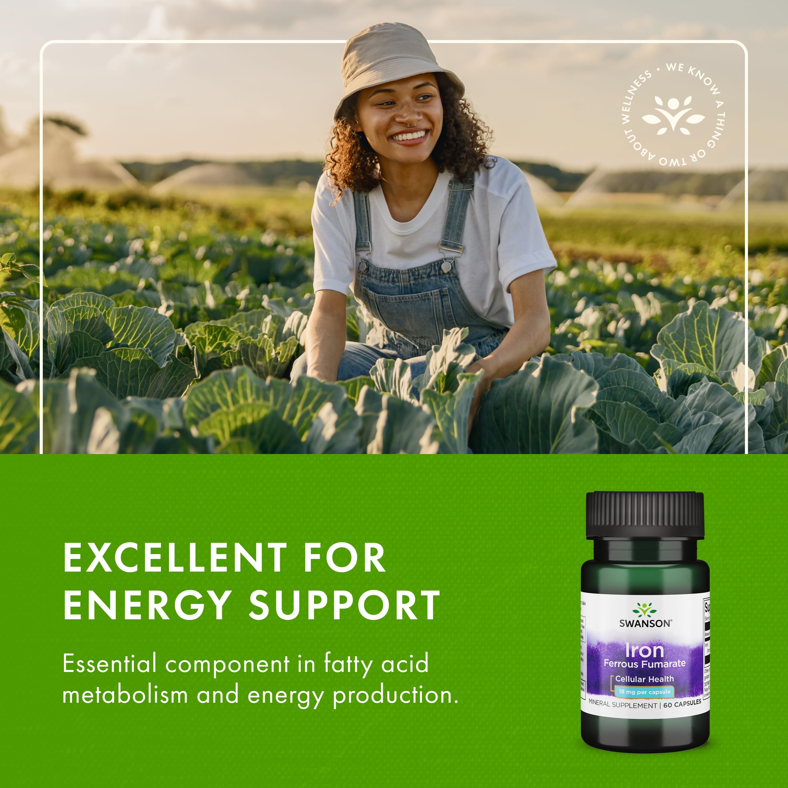 Swanson Iron ferrous fumarate in daily routine for balanced energy.