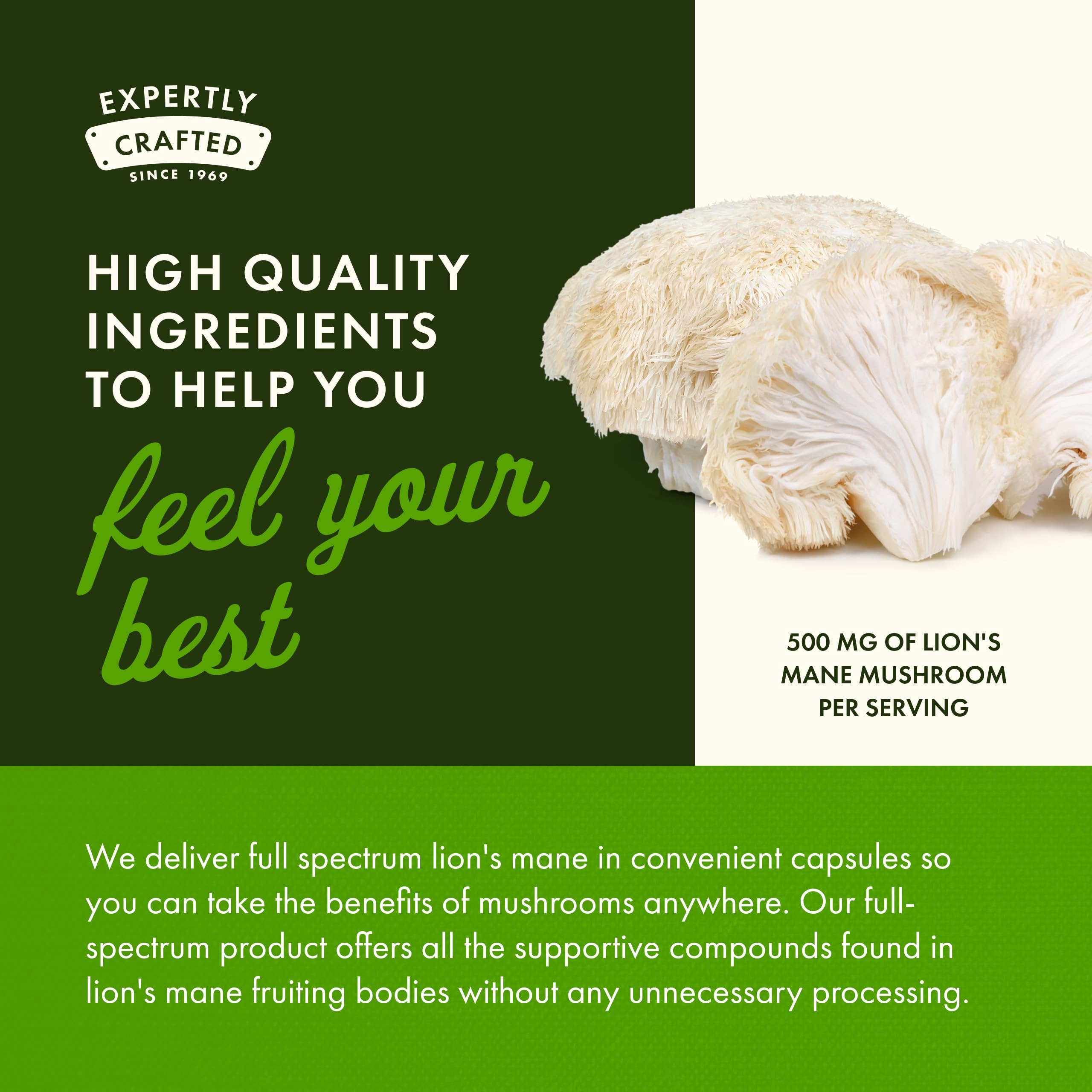 Swanson Lion's Mane study-session setup with capsules visible