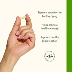Swanson Luteolin Complex bottle on desk suggests daily brain health routine.