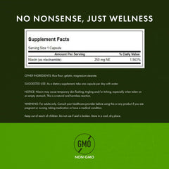 Swanson Niacinamide plant-based formulation for holistic wellness