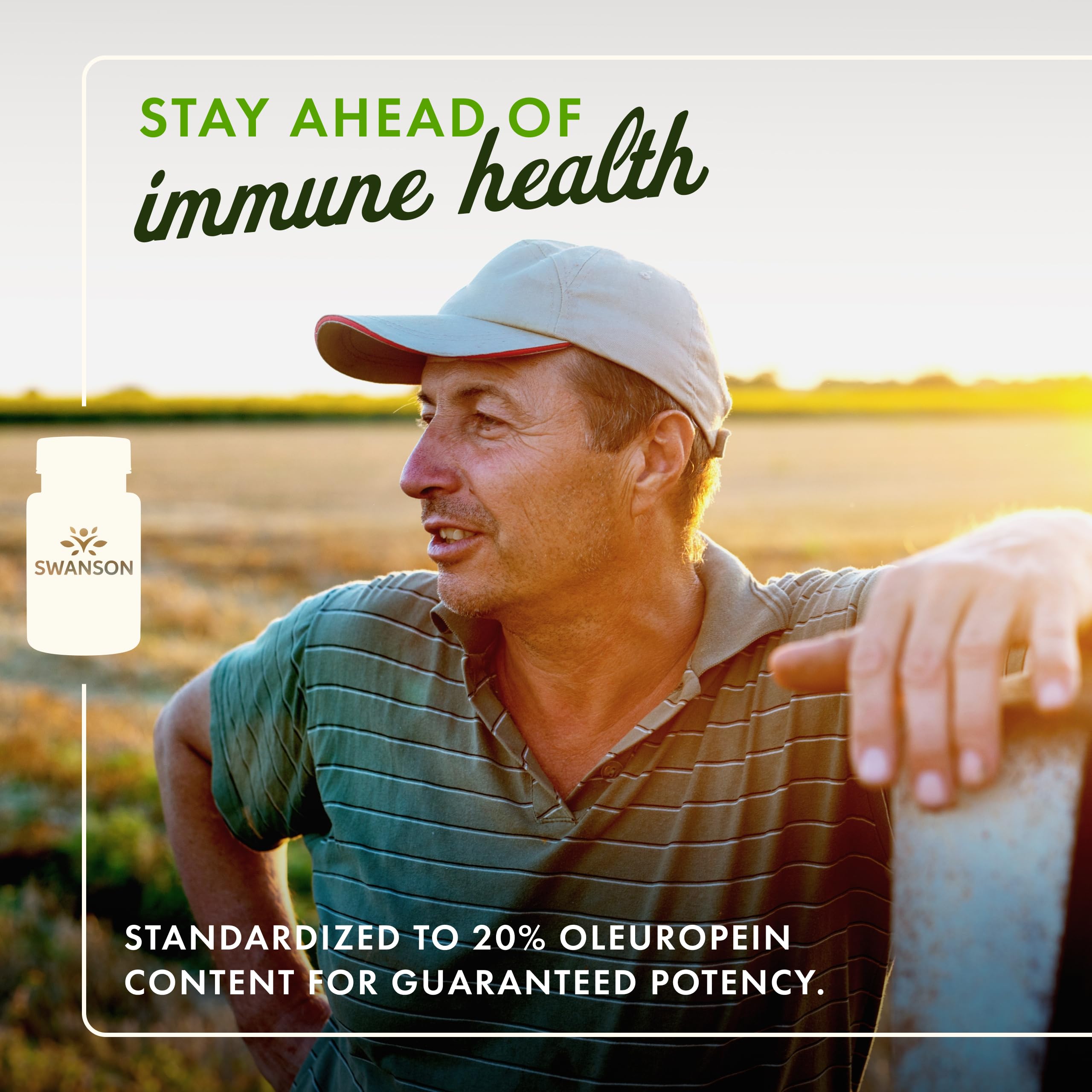 Swanson olive-leaf extract label shows 20% oleuropein potency for consistency.