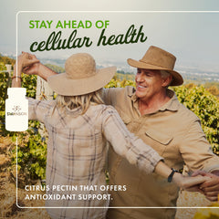 Swanson PectiPure highlights 82% galacturonic acid content for strong absorption.