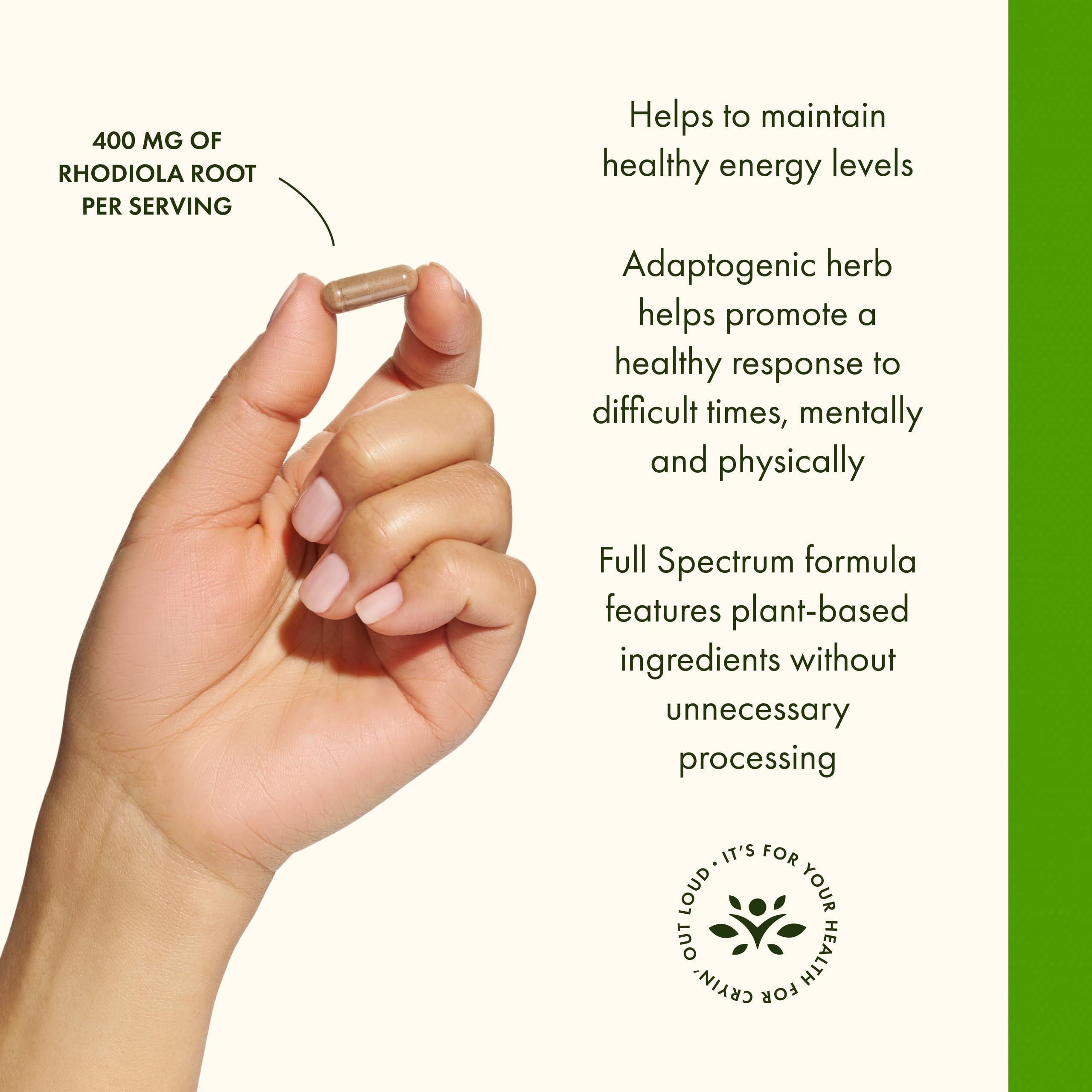 Swanson Rhodiola Rosea Root dosing instructions on pack for daily use