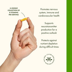 Swanson Vitamin B-100 plant-based blend emphasizing pure, full-spectrum B vitamins.