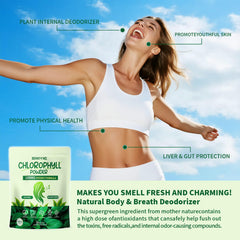 Swiyie chlorophyll powder blended into a smoothie.
