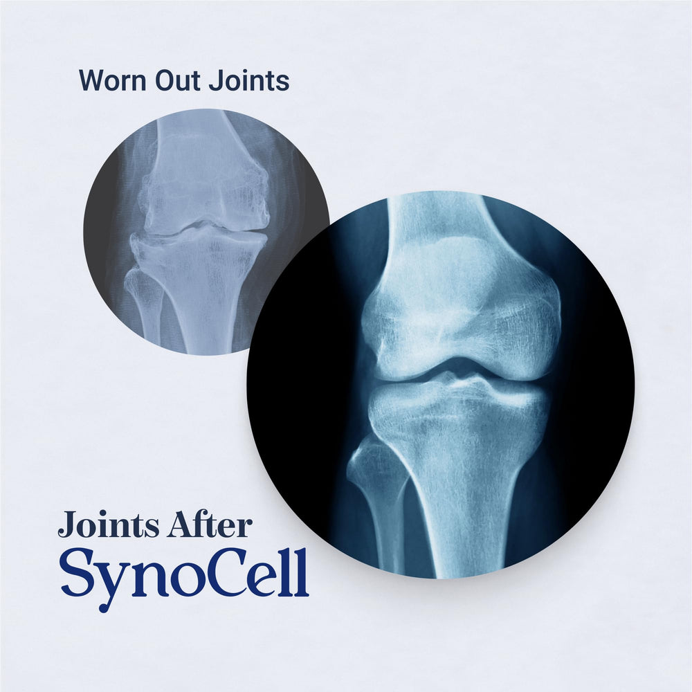 Synocell Boswellia capsules packaging for active lifestyles