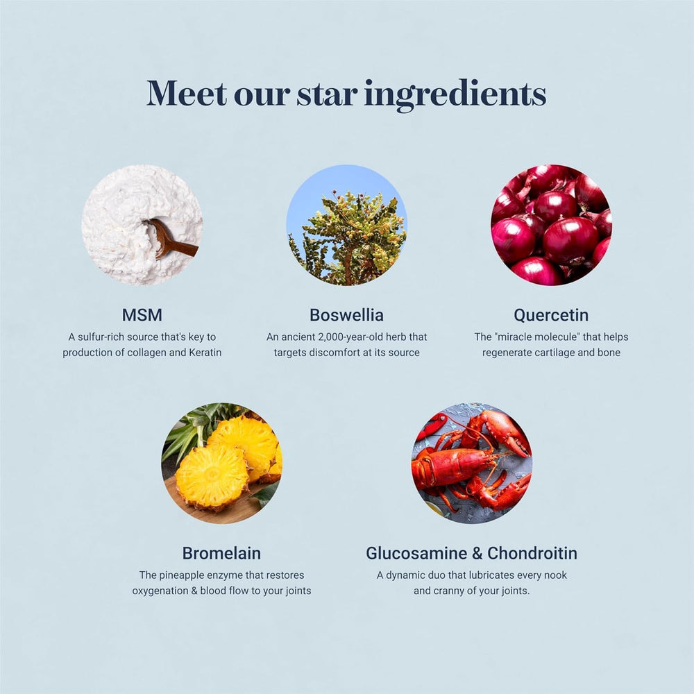 Ingredients scene of Synocell 4 pack featuring Boswellia Quercetin and MSM