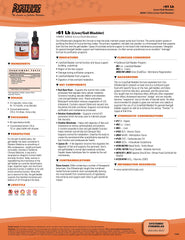 Systemic Formulas LB capsules close-up showing easy-to-swallow supplement for cleansing support.