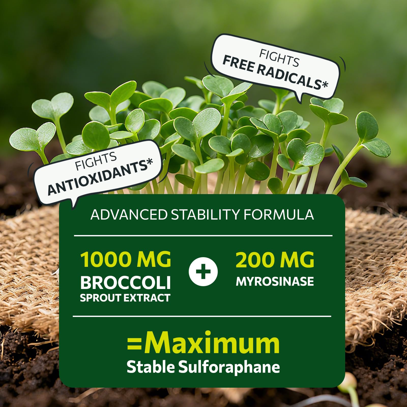 SYZY GENICS myrosinase activation label explains enzyme-assisted release.