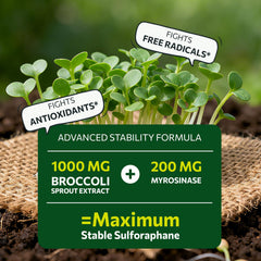 SYZY GENICS myrosinase activation label explains enzyme-assisted release.