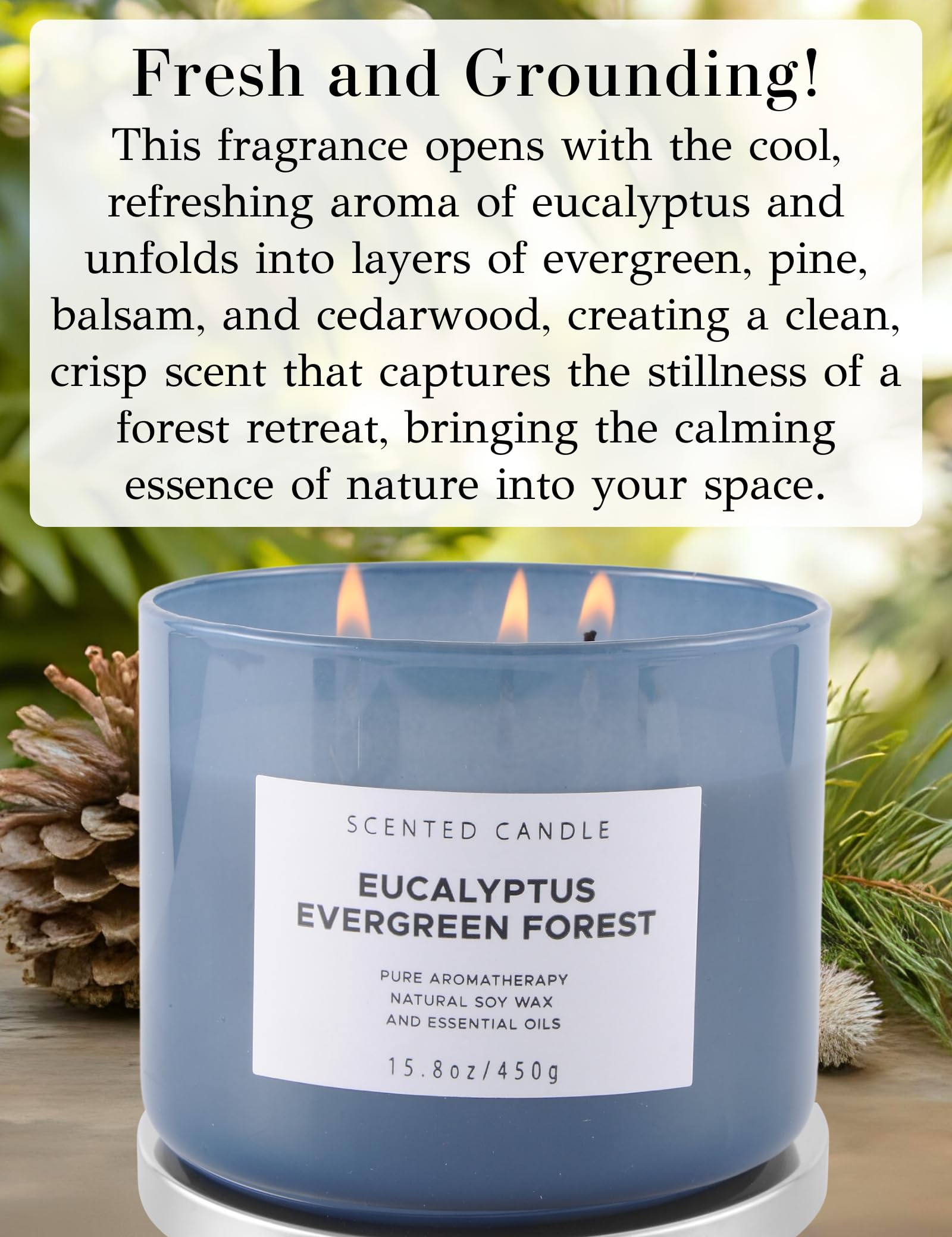 T&H Eucalyptus Evergreen Forest close-up shows rejuvenating scent for calm spaces.