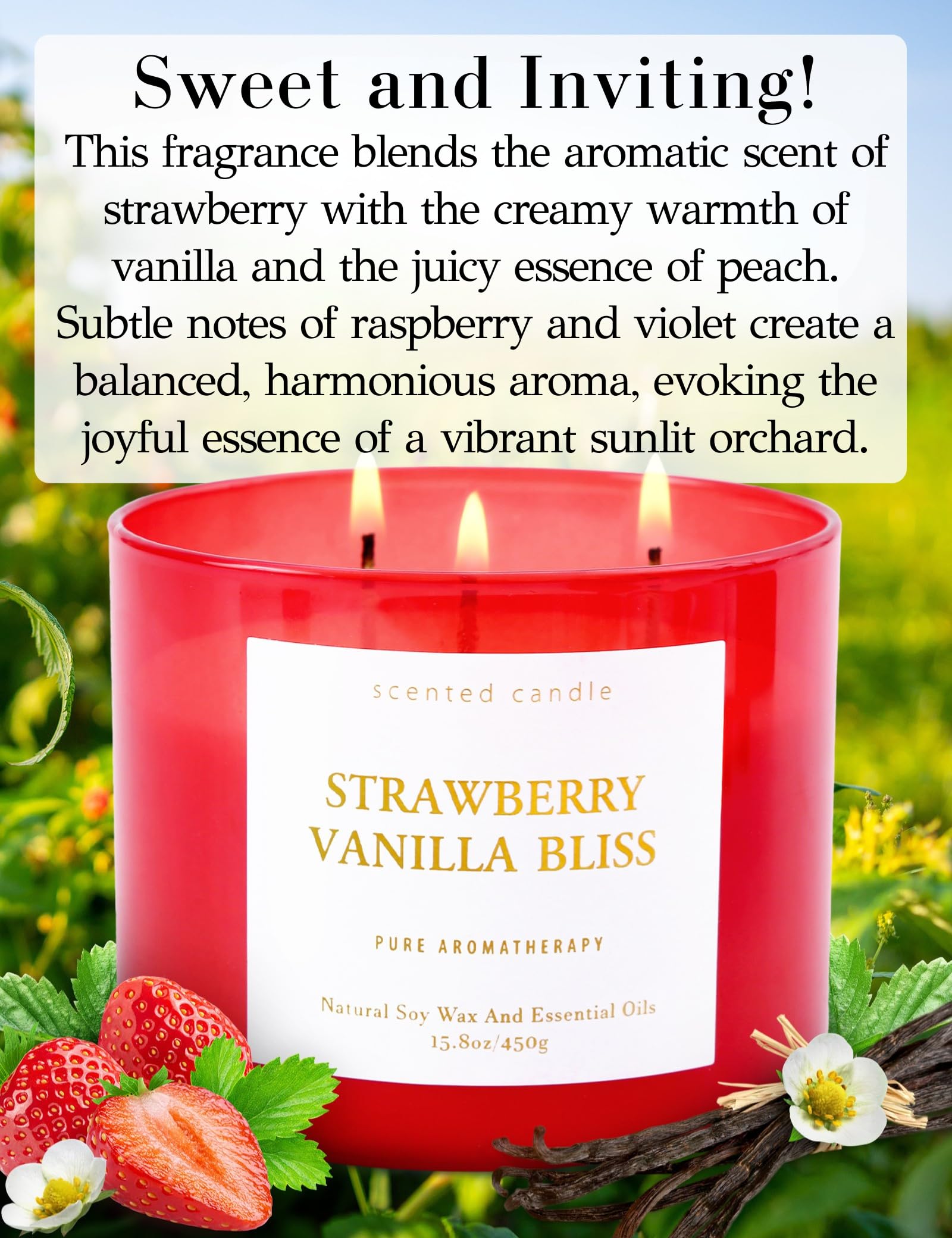 T&H Strawberry Vanilla Bliss lid with gift-ready packaging enhances gifting.